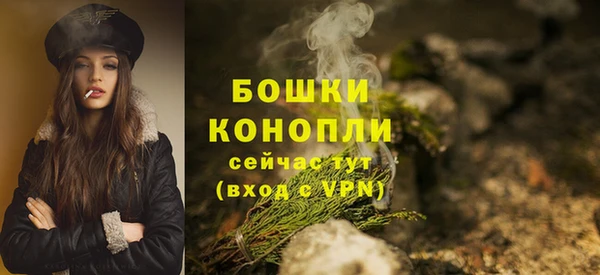 mdpv Белокуриха