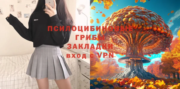 mdpv Белокуриха