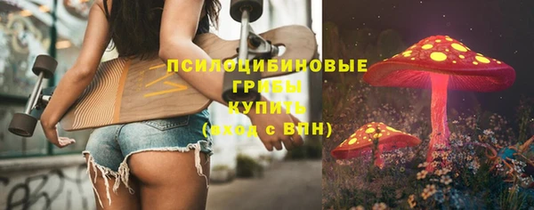 mdpv Белокуриха